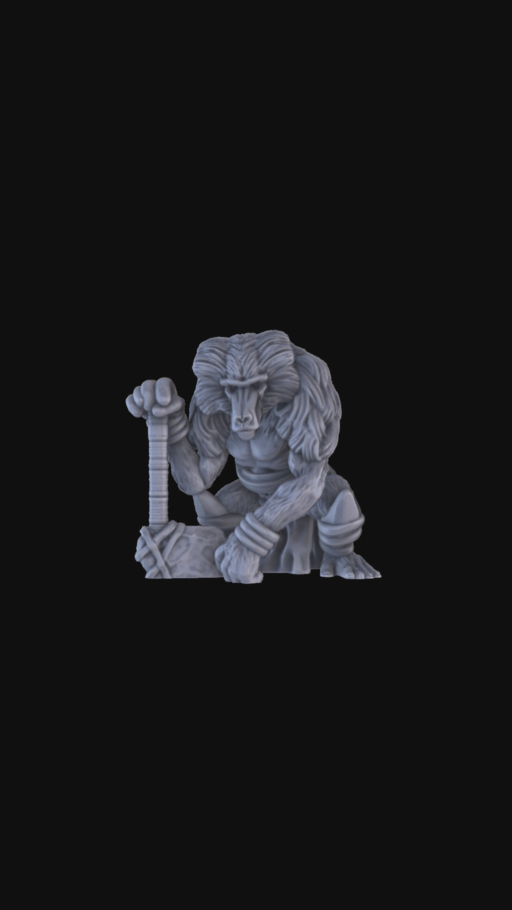 Baboon Warrior 360 degree view
