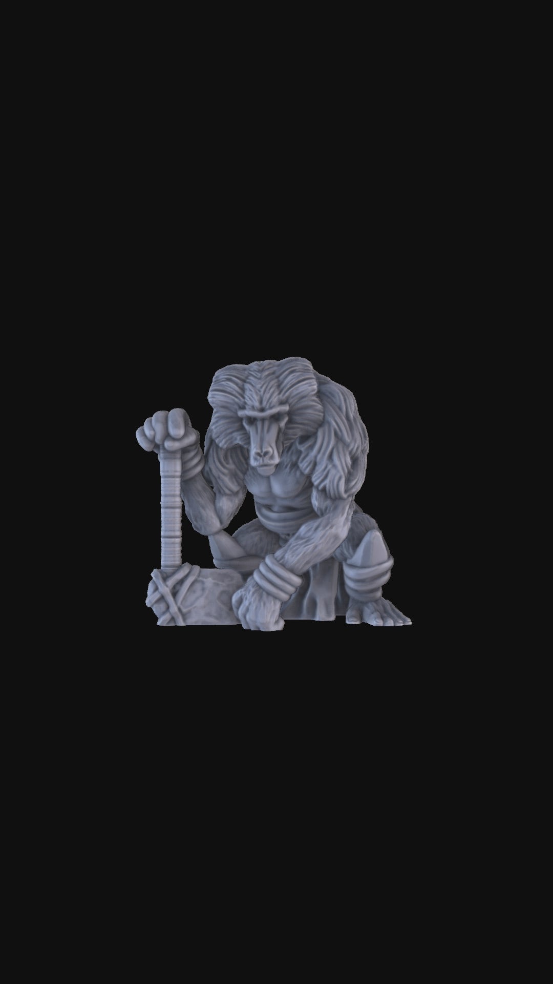Baboon Warrior 360 degree view