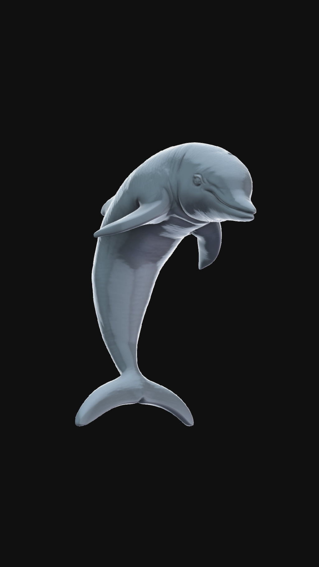 Dolphin 360 degree view