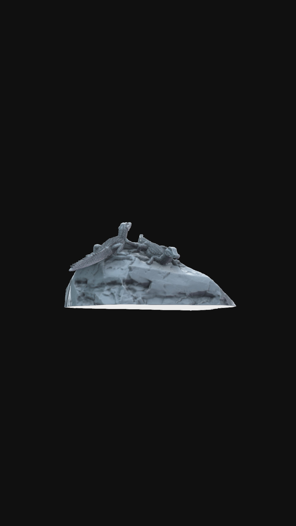 Paleosuchus on rock 360 degree view