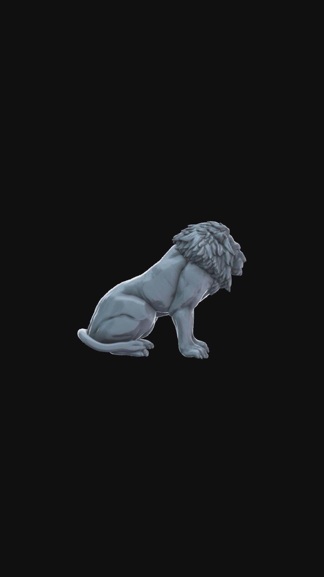 Lion Sitting 360 degree view