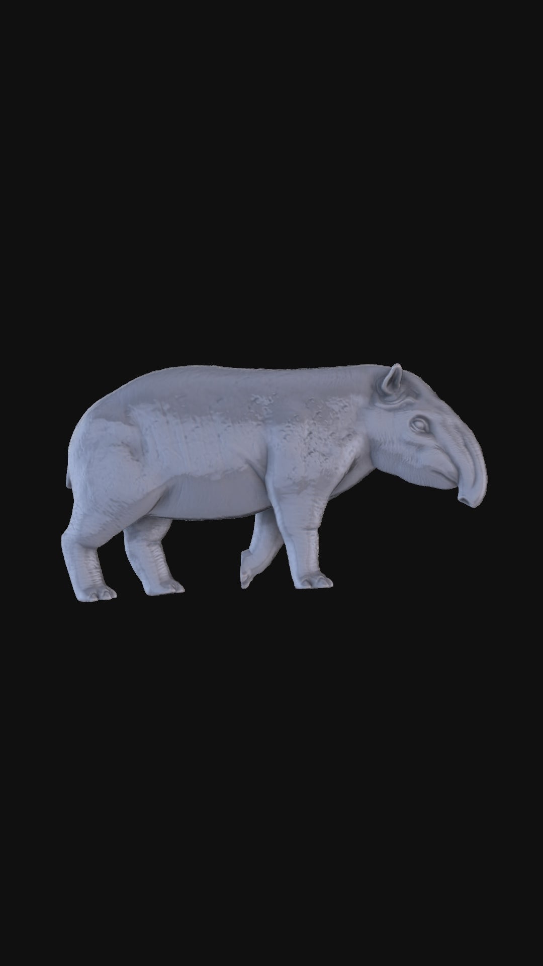 Tapir 360 degree view