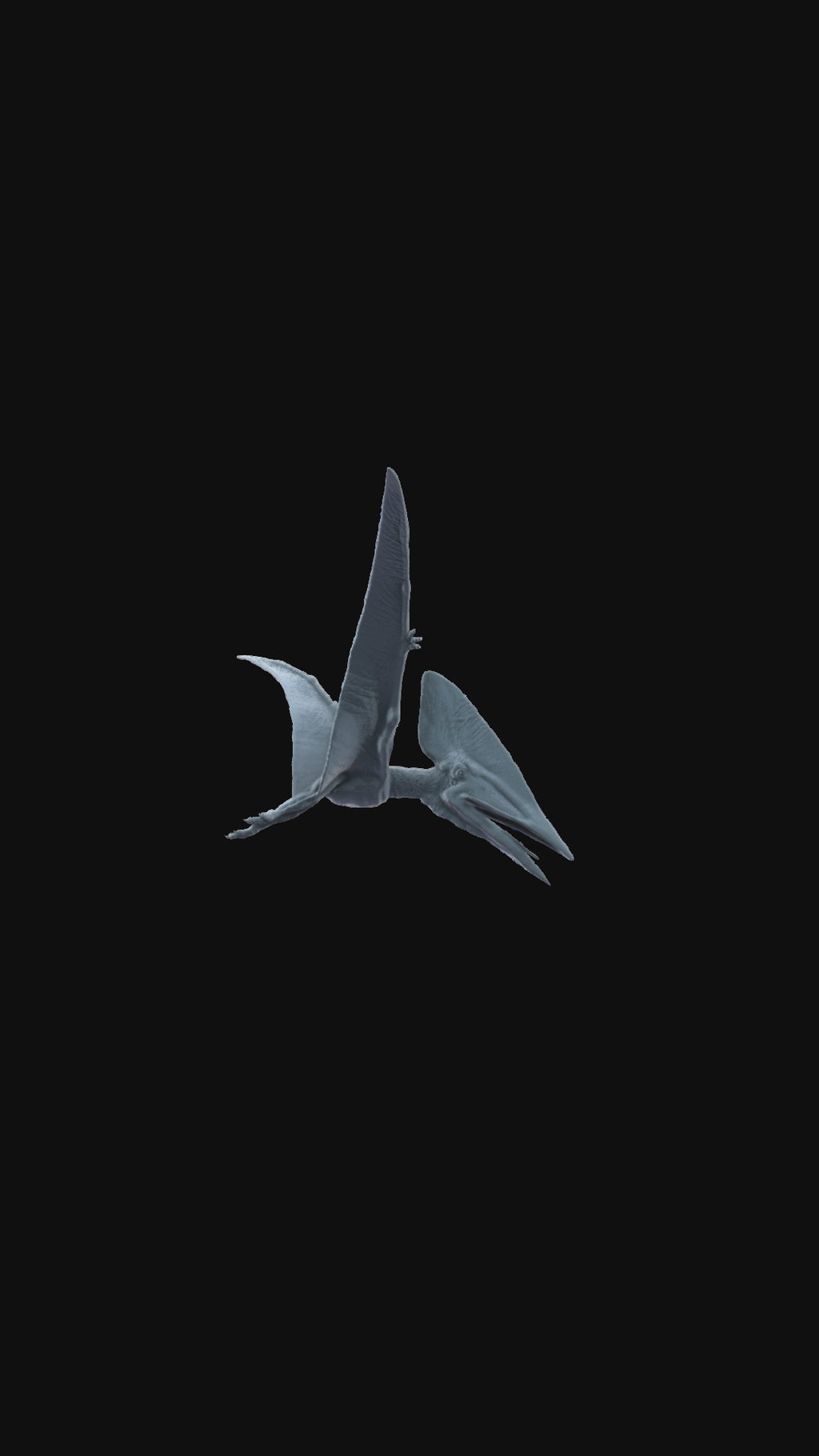 3D printed Thalassodromeus flying 360 degree view