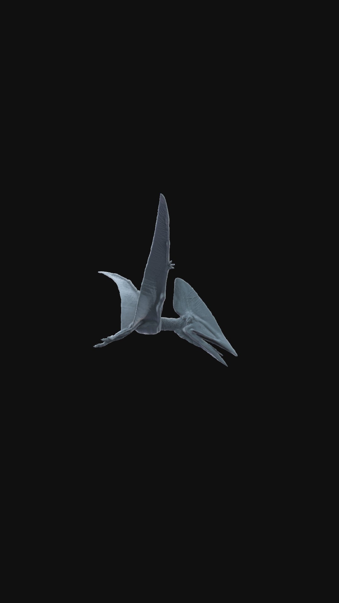 3D printed Thalassodromeus flying 360 degree view