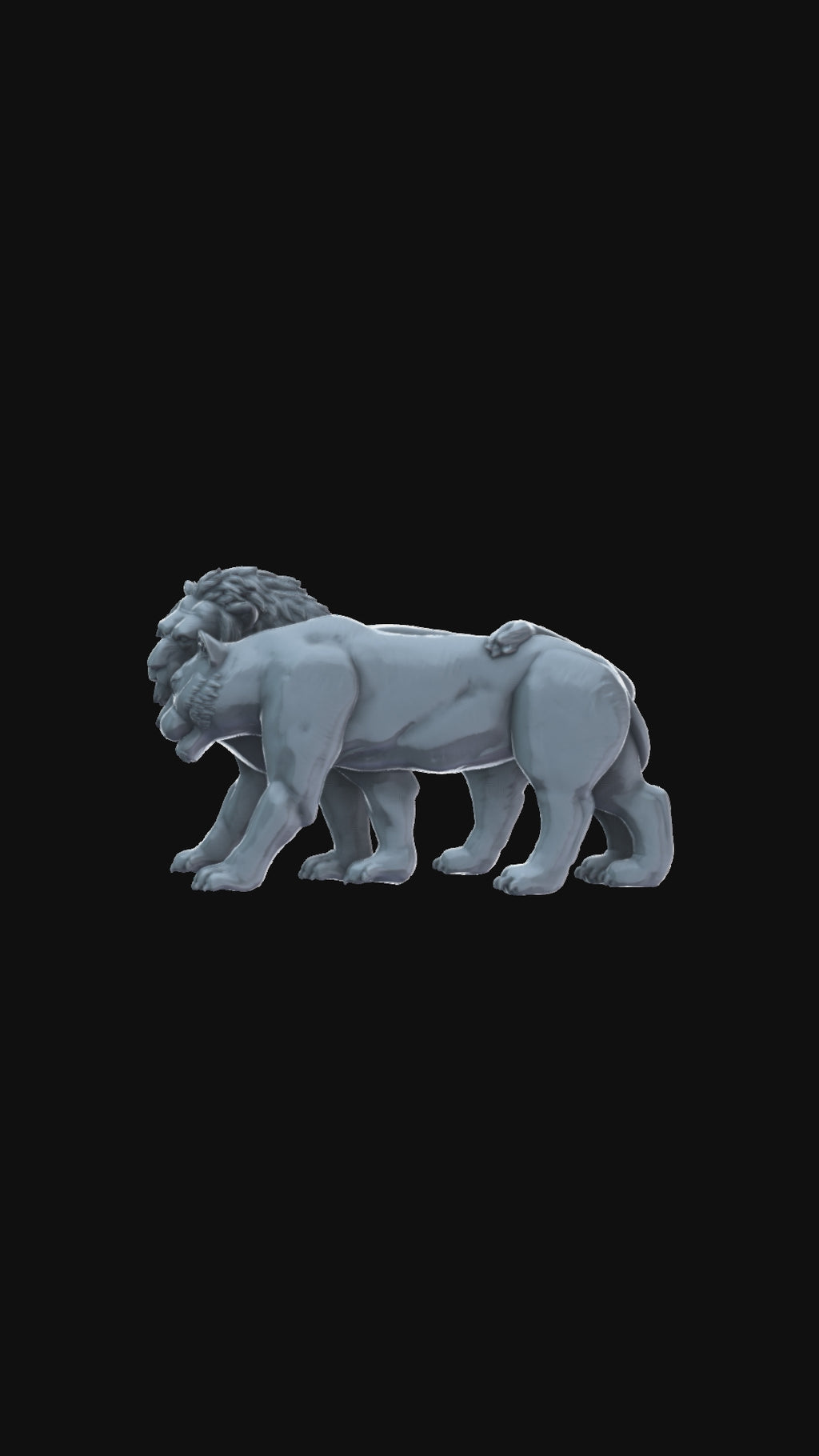 Lion and Lioness 360 degree view