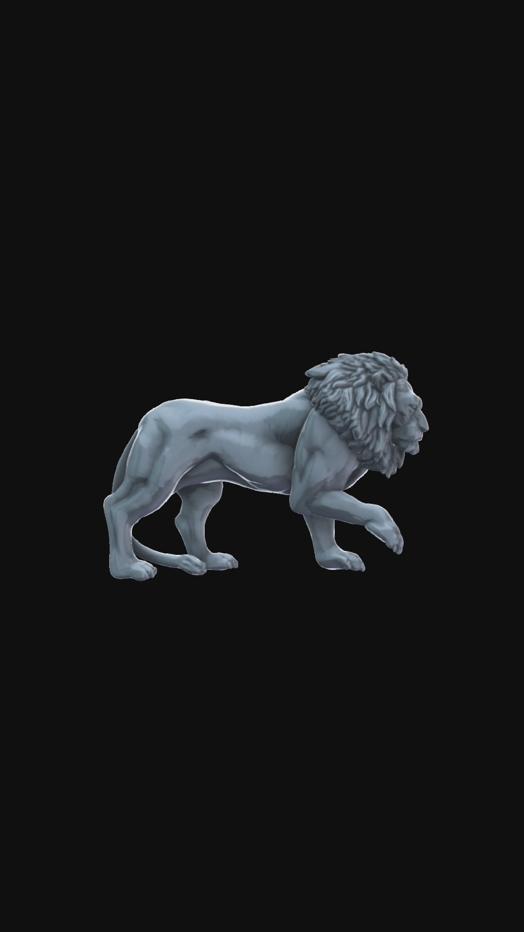 Lion 360 degree view