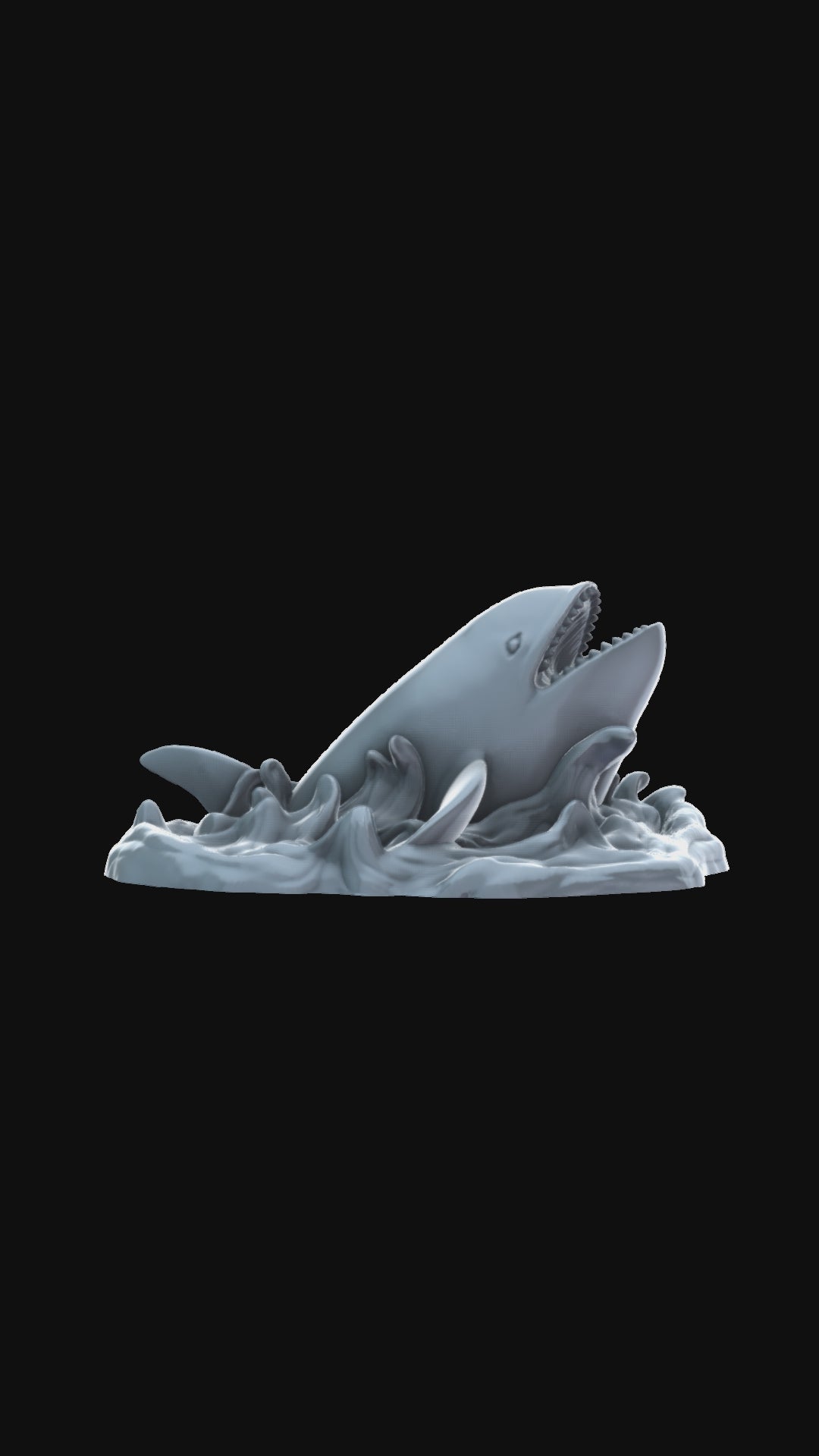 Killer Whale Breaching 360 degree view
