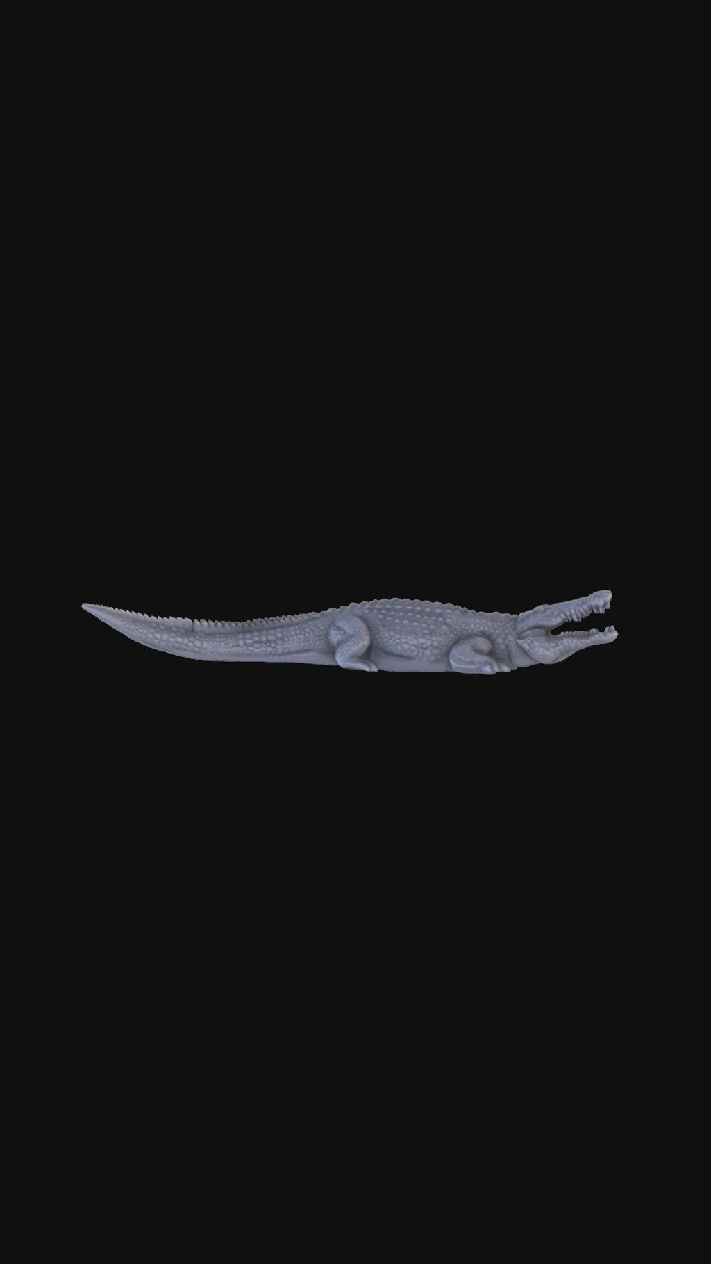 Crocodile 360 degree view