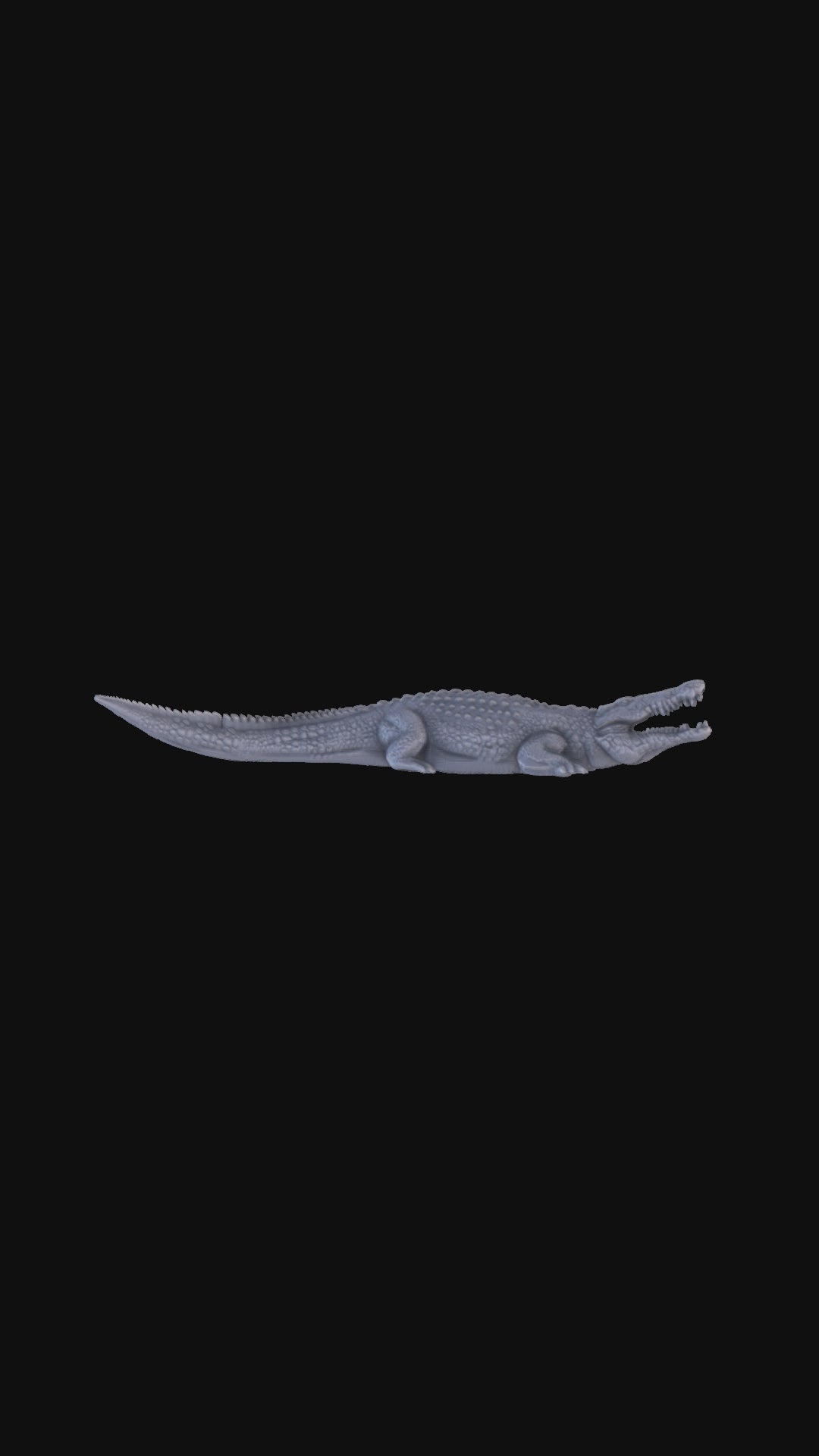 Crocodile 360 degree view