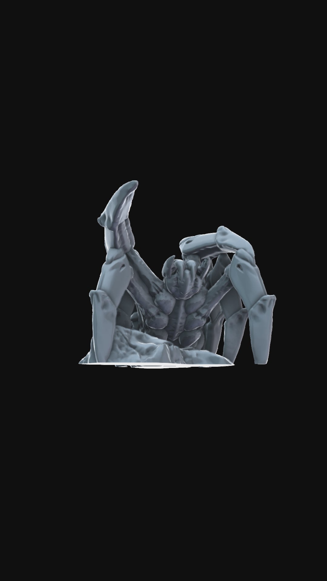 3D printed Big Spider 360 degree view