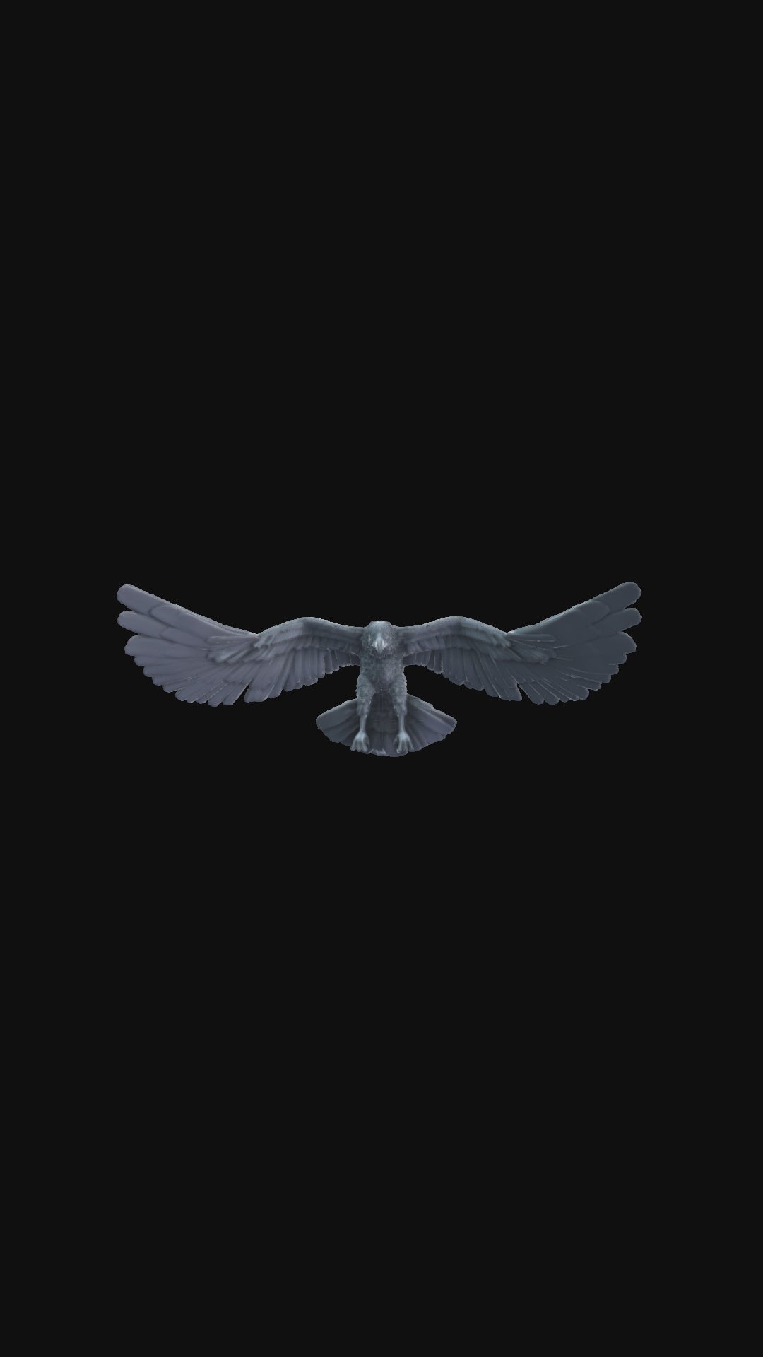 Eagle Flying 360 degree view