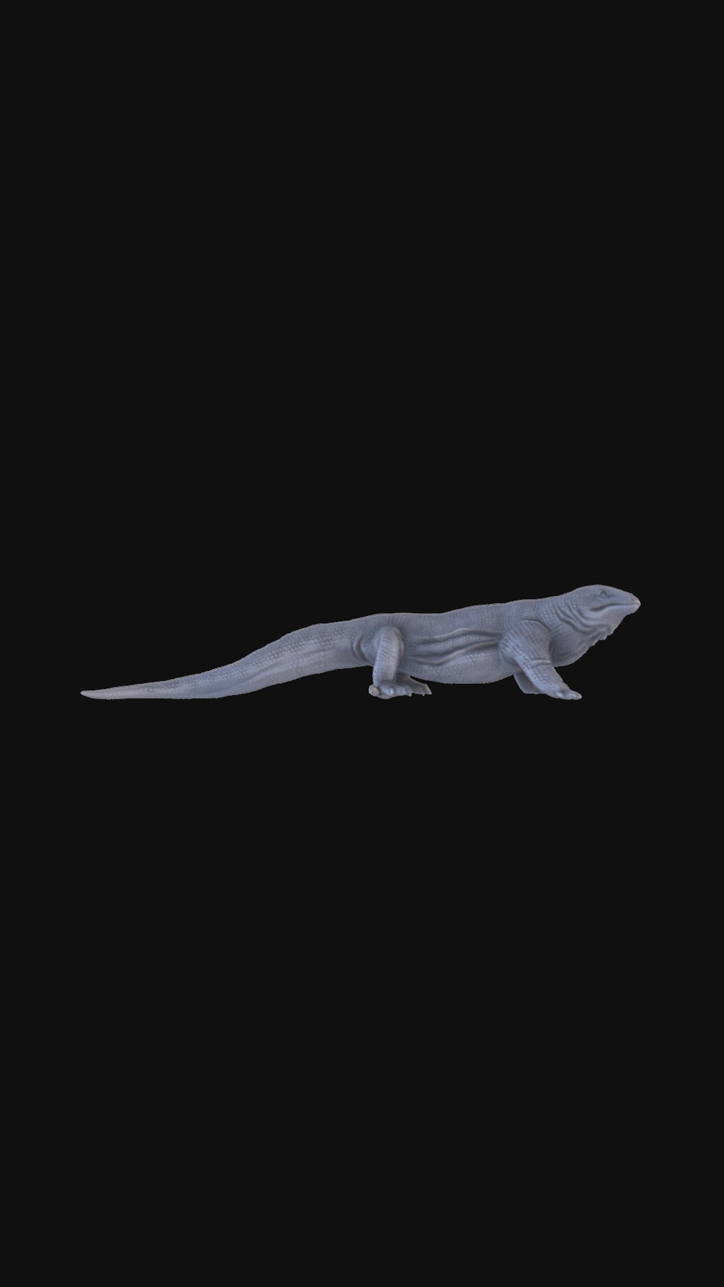 Komodo Dragon Standing 360 degree view
