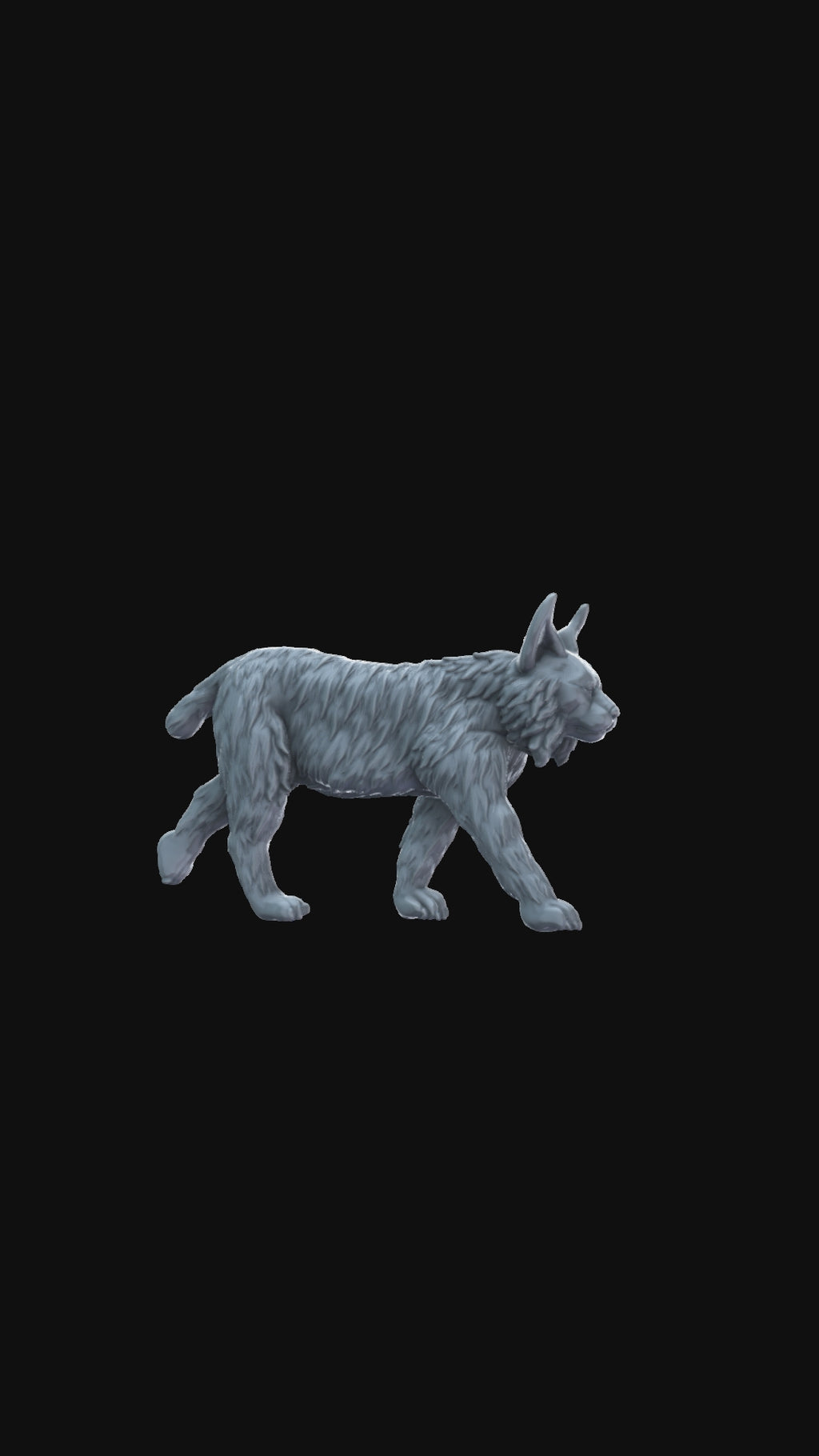 Lynx 360 degree view
