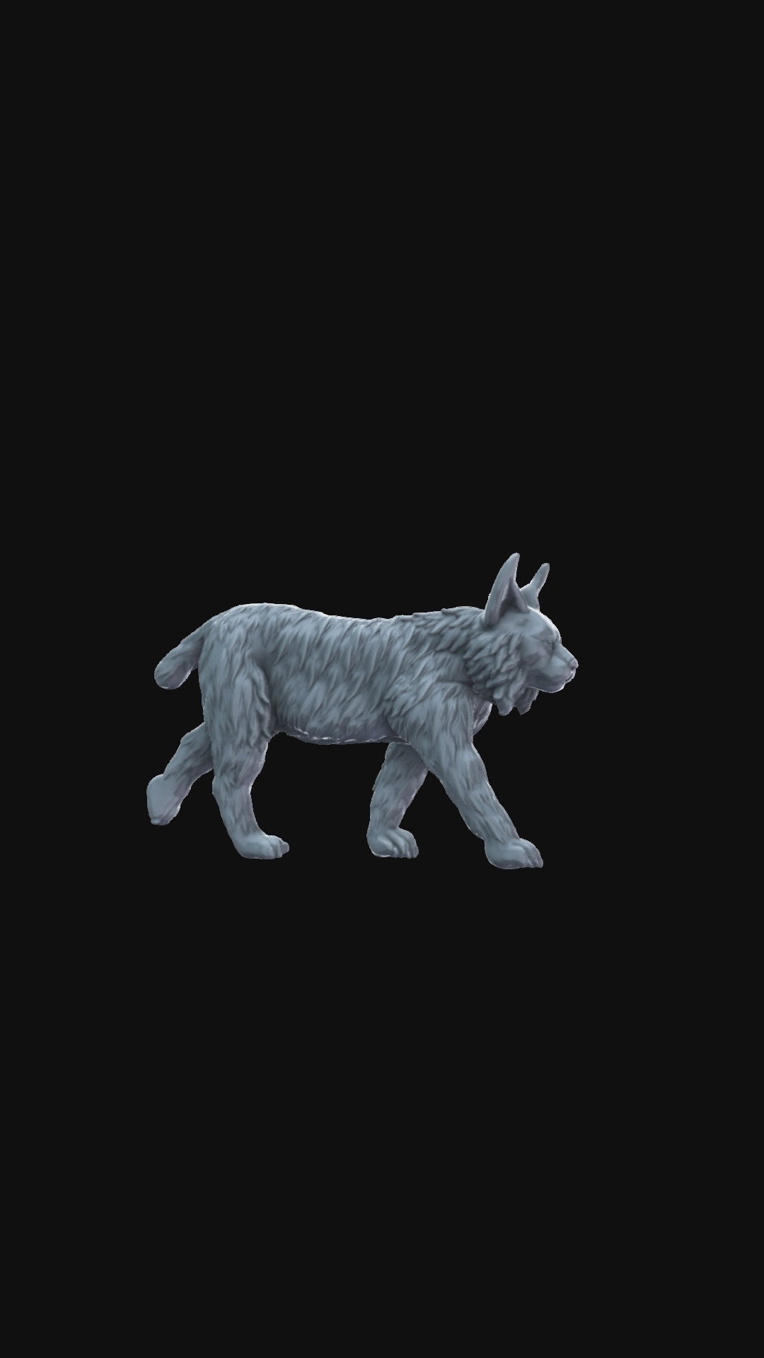 Lynx 360 degree view