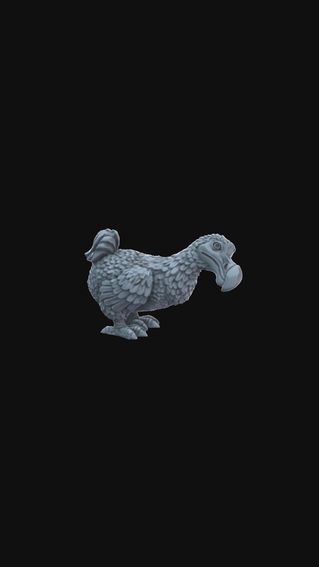 Dodo Looking 360 degree view