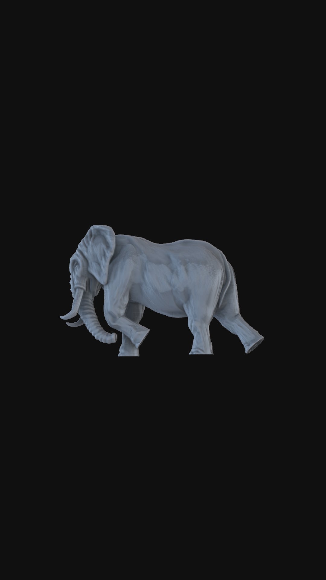 Elephant Charging 360 degree view