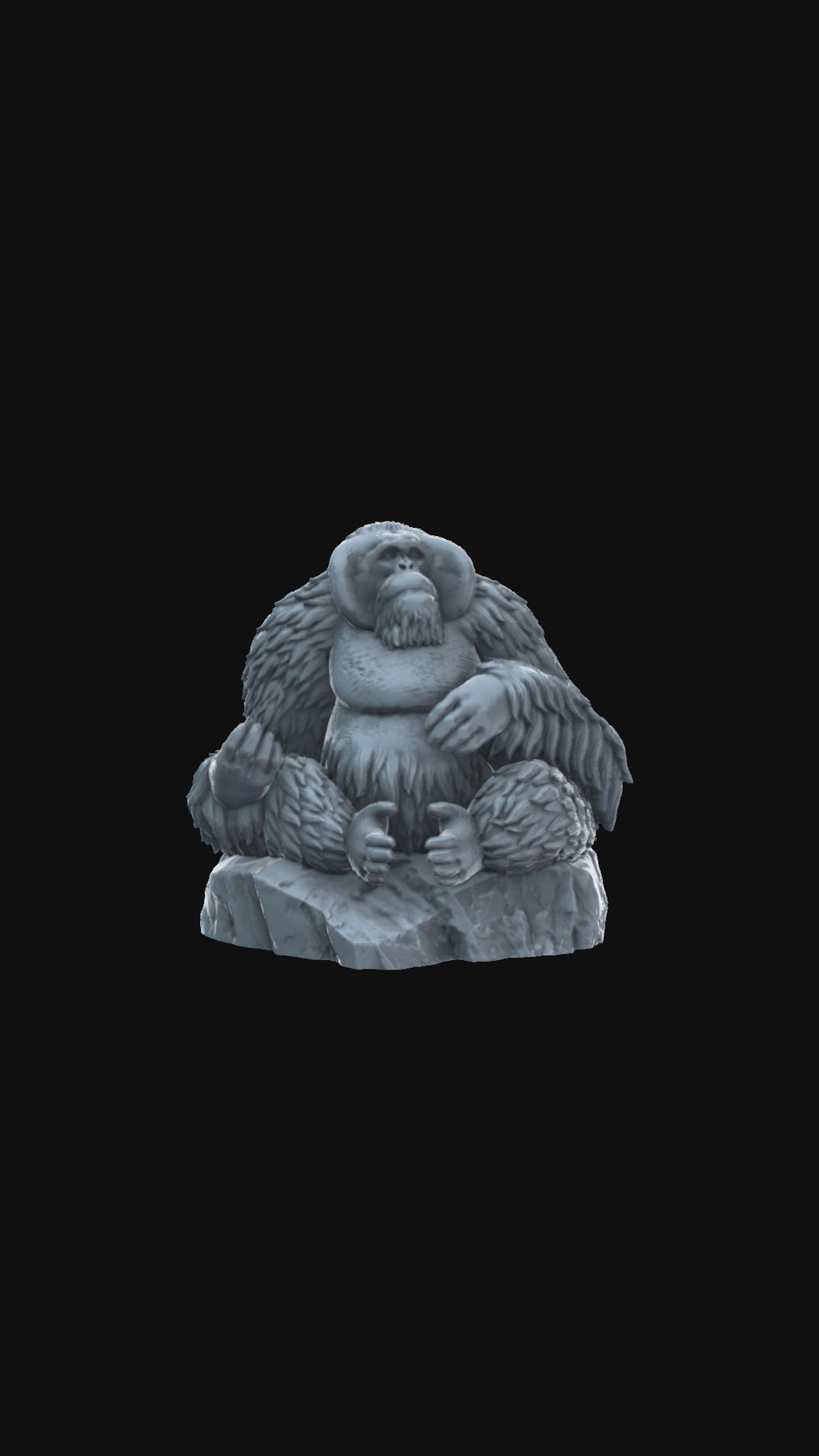 Orangutan on rock 360 degree view