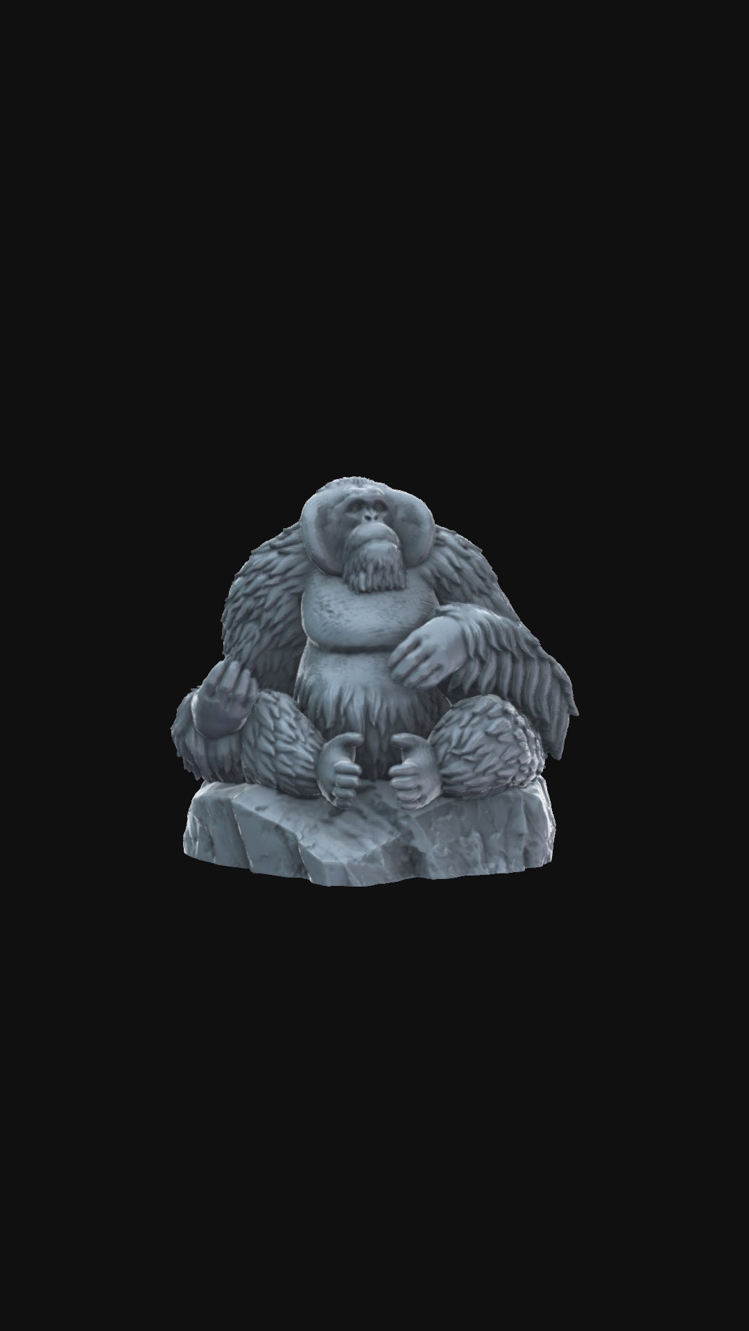 Orangutan on rock 360 degree view