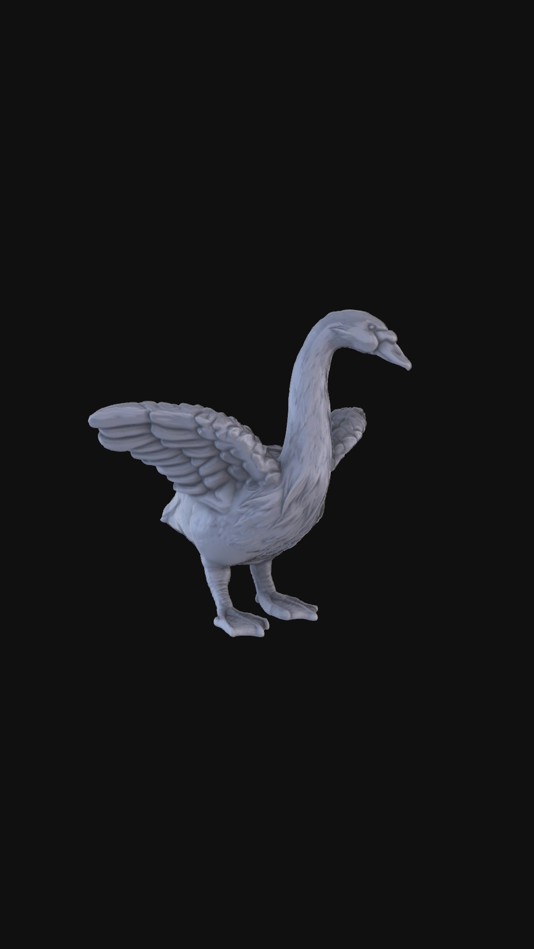 Swan 360 degree view